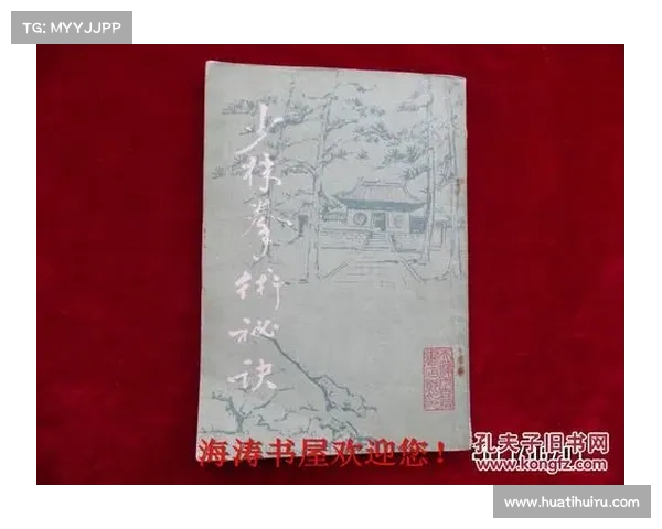 浙江老拳师修复百年失传船拳古籍重现技法传承再现经典拳术智慧 浙江老拳师修复百年失传船拳古籍重现技法传承再现经典拳术智慧